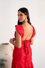 Red Dress Texture